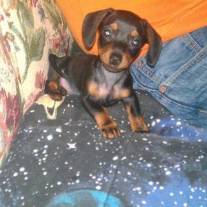 Meet your Posher, Sherry